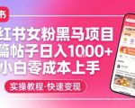 小红书女粉黑马项目，单篇帖子日入1K+，小白零成本上手