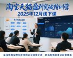 淘宝天猫盈利突破特训营25年12月线下课，系统性的深度剖析电商企业经营之道，打造电商标准化运营体系