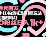 全网首发，小红书虚拟项目新玩法（指数测试），0粉丝日入1K+，整个玩法完整拆解！