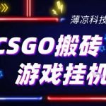 CSGO游戏挂G游戏搬砖最新升级，普通小白一部手机可日入3张+当天见结果，支持验证【揭秘】