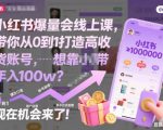 小红书爆量会线上课，带你从0到1打造高收益带货账号，想靠小红书带货年入100W？现在机会来了！（更新）
