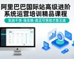 阿里巴巴国际站高级进阶系统运营培训精品课程，实战干货，强实操，真正可落地才是王道