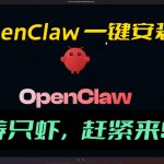OPENCLAW安装教程和资料，10分钟搞定，一切，让你轻松拥有龙虾