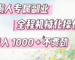 懒人专属副业，全程机械化操作，日入1K+操作简单，不费劲【揭秘】