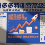 拼多多特训营高阶班，独家玩法赋能，突破运营天花板（更新26年3月13日）