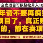 为什么真正賺到钱的都在卖项目，从0-1教你卖项目的方法，看完你也可以月入10W+【揭秘】