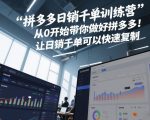 拼多多日销千单训练营，从0开始带你做好拼多多，让日销千单可以快速复制(更新26年2月)