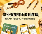 职业遛狗师全能训练课，轻松入行，稳定接单，开启宠物赛道副业