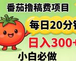 番茄撸稿费，每天20分钟，日入300+！0门槛躺賺，小白直接抄作业【揭秘】