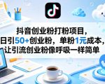 抖音创业粉打粉项目，日引50+创业粉，单粉1元成本，让引流创业粉像呼吸一样简单