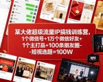 某大佬超级流量IP搞钱训练营，1个微信号+1万个微信好友+1个主打品+100条朋友圈-短视选题=100W