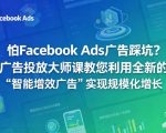 怕FACEBOOK ADS广告踩坑？广告投放大师课教您利用全新的“智能增效广告”实现规模化增长【原创双语字幕】