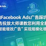 怕FACEBOOK ADS广告踩坑？广告投放大师课教您利用全新的“智能增效广告”实现规模化增长【原创双语字幕】