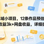 私域小项目，12条作品预估私域收益3K+网盘收益，详细拆解