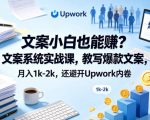 文案小白也能賺？文案系统实战课，教写爆款文案，月入1K-2K，还避开UPWORK内卷【原创双语字幕】