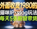 宠物赛道猫咪IP-VLOG玩法，26条视频涨粉29W，每天5张橱窗带货拆解