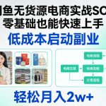 闲鱼无货源电商实战SOP，零基础也能快速上手，低成本启动副业，轻松月入2W+