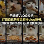 干嘛喵VLOG教学，打造自己的高级宠物VLOG账号，可做抖音创作者计划+精选独家收益