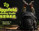 告别高成本广告！HIGGSFIELD MARKETING STUDIO市场营销系统详解｜一键生成创意广告，省去1W成本