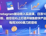 INSTAGRAM被动收入实战课，日涨100粉，助您在IG上打造并销售数字产品，每周3000美刀的营收【原创双语字幕】