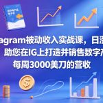 INSTAGRAM被动收入实战课，日涨100粉，助您在IG上打造并销售数字产品，每周3000美刀的营收【原创双语字幕】
