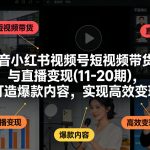 抖音小红书视频号短视频带货与直播变现(10-21期)，打造爆款内容，实现高效变现（更新05月）