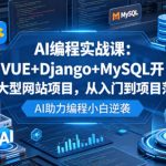 AI编程实战课：VUE+DJANGO+MYSQL开发大型网站项目，从入门到项目落地，AI助力编程小白逆袭