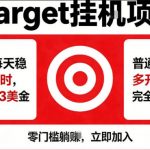海外平台TARGET商品浏览曝光，24小时运行无需人工值守，日收益100美刀+电脑可多开【揭秘】