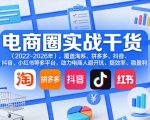 电商圈实战干货（2023-2026年），覆盖淘系、拼多多、抖音、小红书等多平台，助力电商人避开坑、提效率、稳盈利（更新06月07日）