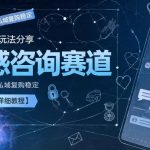 闲鱼小众玩法分享，情感咨询赛道，客单价高，私域复购稳定【详细教程】