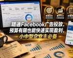 精通FACEBOOK广告投放，预算有限也能快速实现盈利，小中型企业主必备【原创双语字幕】