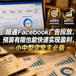 精通FACEBOOK广告投放，预算有限也能快速实现盈利，小中型企业主必备【原创双语字幕】