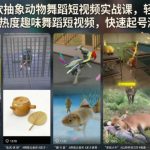 抖音爆款抽象动物舞蹈短视频实战课，轻松制作高热度趣味舞蹈短视频，快速起号涨粉