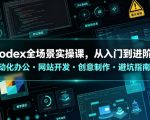 CODEX全场景实操课，从入门到进阶，自动化办公・网站开发・创意制作・避坑指南，全流程教学