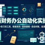 电商财务办公自动化实操课，EXCEL+影刀双工具，数据清洗・报表建模・自动对账，全流程实战