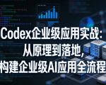 CODEX企业级应用实战：从原理到落地，构建企业级AI应用全流程（更新）