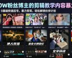 抖音40W粉丝博主的剪辑教学内容暴力玩法，0基础快速起号，暴力变现，轻松解锁伙伴计划+精选独家