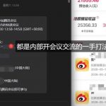 微博蓝海项目1.0_各种SAO操作整理+AI引流拆解，喂饭级教学