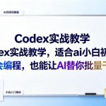 CODEX实战教学，适合AI小白初学者，不会编程，也能让AI替你批量干活