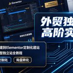 外贸独立站高阶实操课｜从域名服务器搭建到ELEMENTOR定制化建站，打造高转化询盘型独立站全教程