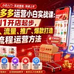 2026拼多多运营小白实战课：从0到1开店起步，掌握选品、流量、推广、爆款打造全流程运营方法