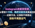 INSTAGRAM流量变现课，从零到十万粉，再把流量变成真金白银——这套方法，让涨粉不再靠运气【原创双语字幕】