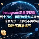 INSTAGRAM流量变现课，从零到十万粉，再把流量变成真金白银——这套方法，让涨粉不再靠运气【原创双语字幕】