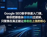 GOOGLE SEO新手快速入门课，帮你把那些杂音统统过滤掉，只聚焦在真正能让排名往上涨的核心动作【原创双语字幕】