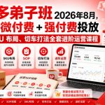 AY干多多‑拼多多弟子班2026年8月，拼多多微付费+强付费投放SOP、SKU布局、切车打法全套进阶运营课程