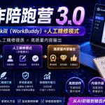 AI写作陪跑营3.0，AI智能体创建写作SKILL（WORKBUDDY）+人工手写模式（手搓模式），去除AI痕迹（头条号、公众号、百家号）（更新0814）