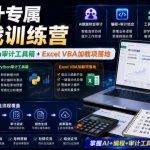 财会审计专属AI实战训练营｜AI协同编程+PYTHON审计工具箱+EXCEL VBA加载项落地（更新0816）