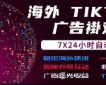 海外TIKTOK挂G流量变现，7X24自动运行，广告曝光收益，收益日结【揭秘】