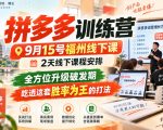 拼多多训练营9月15号福州线下课，2天线下课程安排，全方位升级破发期，吃透这套胜率为王的打法!