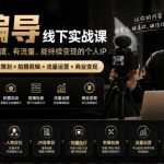 【无水印】IP编导线下实战课，从人物定位到短视频拍摄剪辑，全流程打造有温度、有流量、能持续变现的个人IP内容